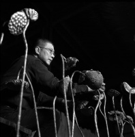 一周艺术人物｜许江的上海远望，皮埃尔·于热的纽约蜜蜂