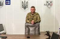 乌军总司令首次承认