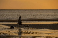 两个人合不合，能够走多久，就看这一个字