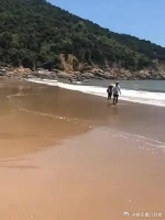 姚笛和文章或许是真爱，文章选择的家庭，马伊琍选择了原谅……