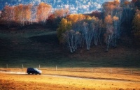 人生是“旷野”不是“轨道”