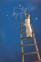 正是你花在玫瑰上的时间，才使你的玫瑰花珍贵无比