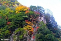 【古诗词鉴赏】唐代诗人白居《江楼夕望招客》诗赏析