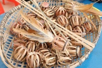 南宁市良庆区壮族香火球：非遗文化薪火相传