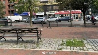 纽约华人男子街头无故遭袭 致耳膜穿孔内出血