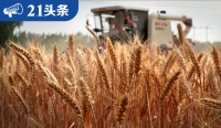 突然！俄罗斯宣布中止！