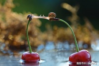 是什么导致了“不成功”