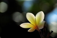 当你焦虑时，就看看这5句话