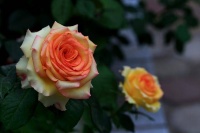 婚姻好不好，看这一点就够了