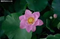 女人五十岁后，还焦虑这几个问题，说明人生很失败