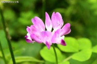 女人最好的“福相”，其实是这样的