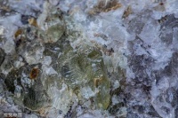 “今年第二次阻止”！外媒：澳禁止一家中国相关公司收购锂矿生产商