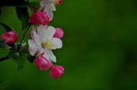 这两种心态的女人，过不好这一生