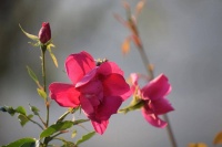 一个男人，给你以下的待遇，就是真爱了