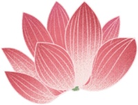 朝朝说节气丨大暑：三伏吃鸡 苦夏不苦没烦恼