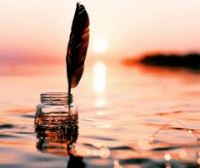 这里每一个公众号都值得你浪费时光