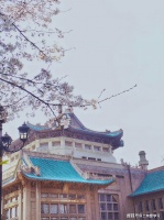 人要学会“看见”