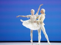 莫斯科大剧院芭蕾舞团最强阵容开启荟萃晚会，艺术总监：到访能理解自己艺术的国家很幸福