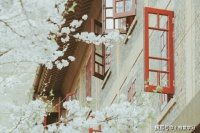 男性在物化女性的同时，自己也被物化了