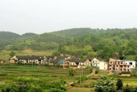 如果你想要发大财，先读一读刘伯温的四个故事