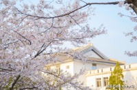 和人相处，多使用陌生人框架