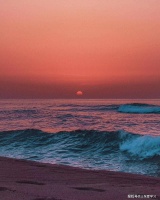 莫言：真正的强大不是对抗，而是允许发生，允许遗憾，愚蠢