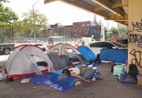 【世界说】失控的美国移民危机引发城市大混乱！纽约居民：这是一场真正的瘟疫