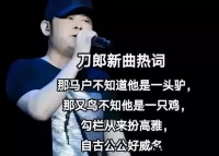 那英回应来了！依旧嘴硬称将要采取行动，准备和300万评论硬刚
