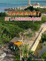 厦门人根本不怕台风。厦门人的经验可不一般！