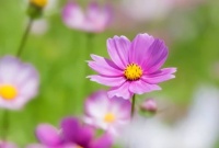 一个人最愚蠢的行为，就是“高估自己”