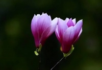 家人相处时，如果习惯性“彼此隐瞒”，是家庭走向衰败的征兆