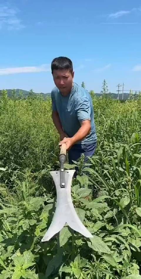 我就说吧，二郎神是个除草工