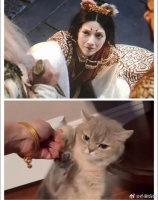 谁懂啊，妲己不像人，她是真的很哈基米啊！