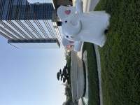 对于古经典著作中部分精句歌简析