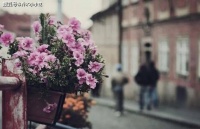 余生，一个女人越过越好的“征兆”