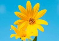 有这两个本事的女人，绝对是富贵命