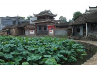 千万别用自己的嘴，说别人的生活