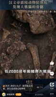 2000多年前汉文帝用国宝大熊猫陪葬？西安霸陵殉葬坑出土完整大熊猫骨骼