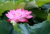 退休之后，请收起你的“底牌”，避免晚景凄凉