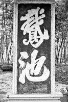 王羲之为何痴爱鹅？