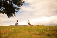 成年人的朋友圈：大胆筛选，别怕走散