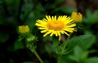 人生是“矛盾”的，接纳便是智慧