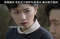海潮被抓 老赵全力保护杜鹃身份 最后应该只剩方嘉树和女主