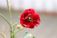 与人交往，越是心软之人，越容易吃4种亏