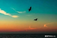 真正高情商的人，去别人家串门时，是不会带这两样东西的