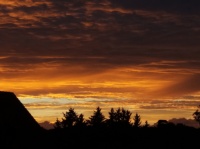 夜雨丨付新民：夏夜散步