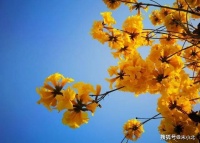 中年以后，请过这三种“低耗”生活