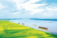 历史文化丨在故乡的怀抱中