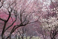 秋思：季节如人，人亦季节