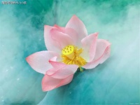 一个人朋友也没有，还喜欢独来独往，说明了三个问题